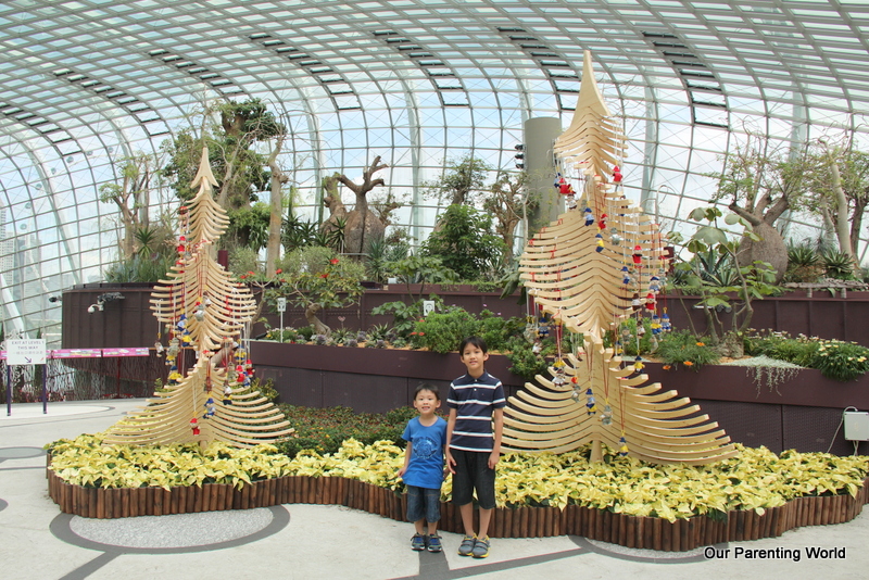 Gardens by the Bay 16