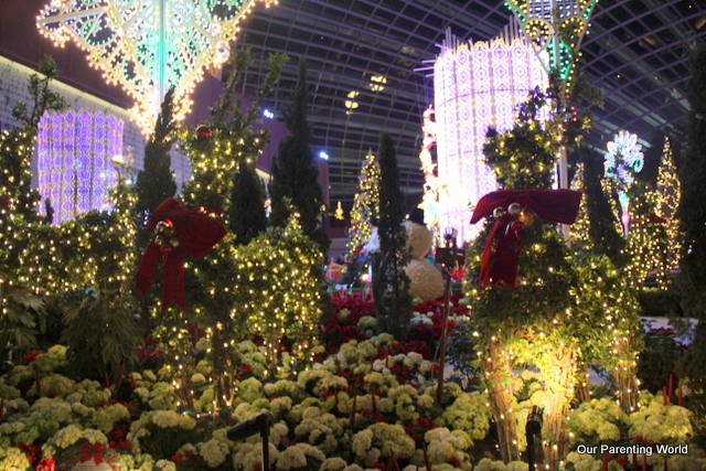 Flower Dome Christmas 12