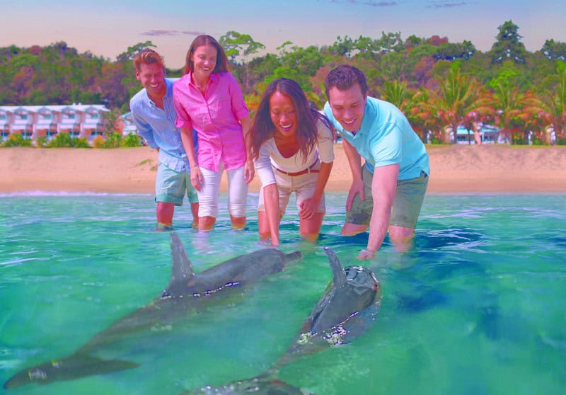 Nature - Hand feed wild dolphins-001