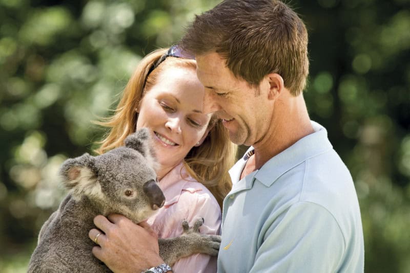 Couple Holding Koala Bear at Currumbin Wildlife Sanctuary