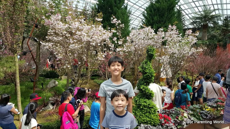 Gardens by the Bay 16