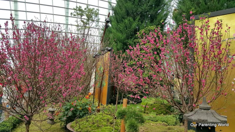 Gardens by the Bay 3