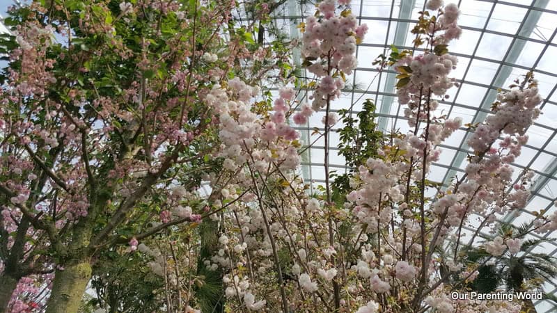 Gardens by the Bay 5