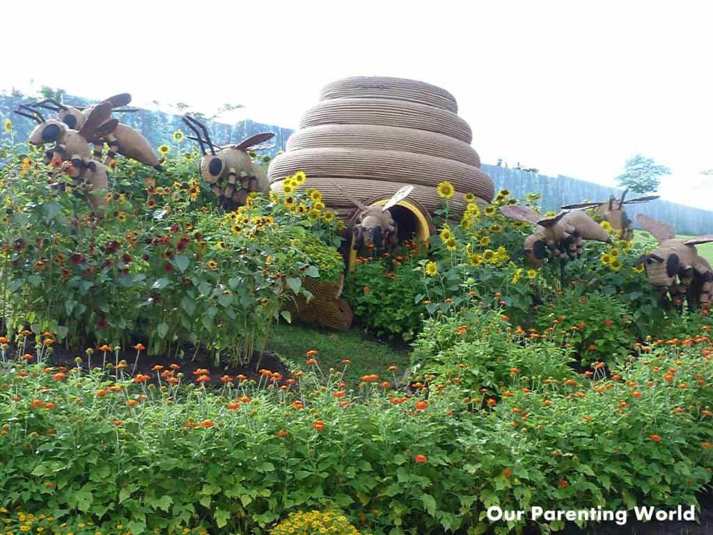 Singapore Garden Festival 2016 13