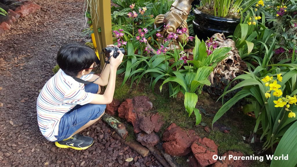 Singapore Garden Festival 2016 9