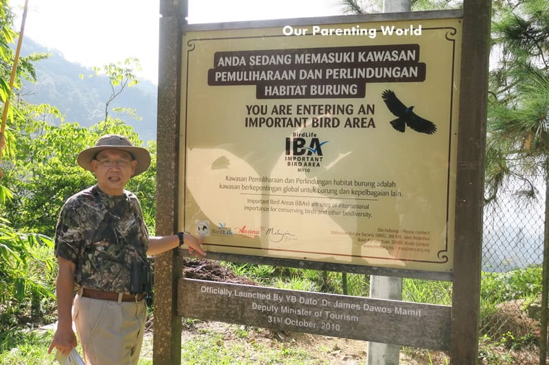 Bird Watching at Genting Highlands 2