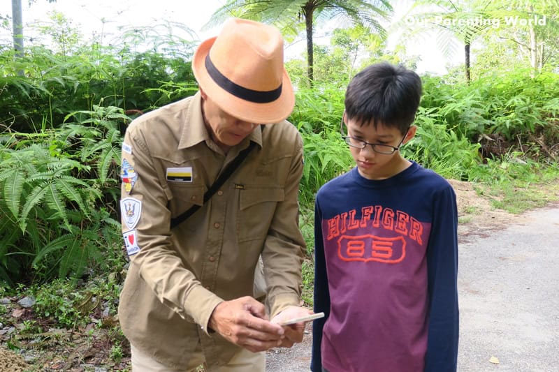 Bird Watching at Genting Highlands 5