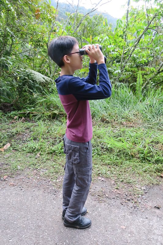 Bird Watching at Genting Highlands 6