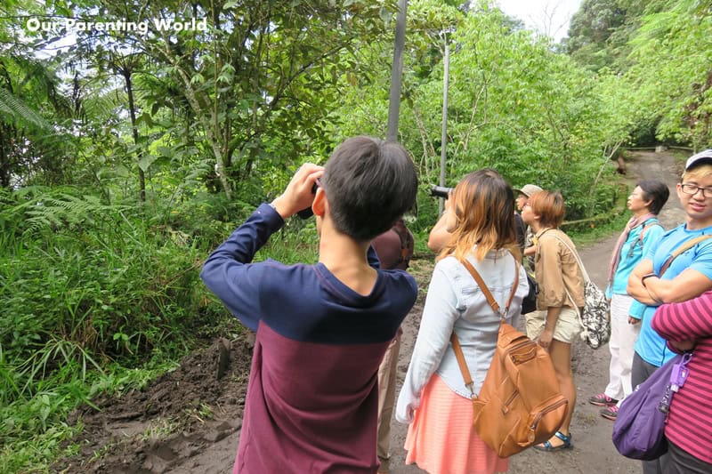 Bird Watching at Genting Highlands 7