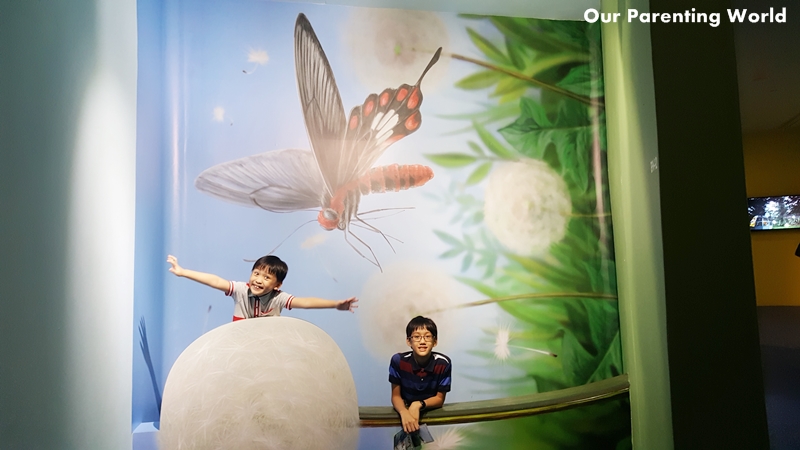 Science Centre Singapore Butterflies Up-Close 5