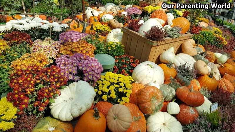 Autumn Harvest at Gardens By The Bay 7