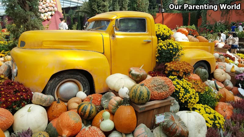 Autumn Harvest at Gardens By The Bay 9