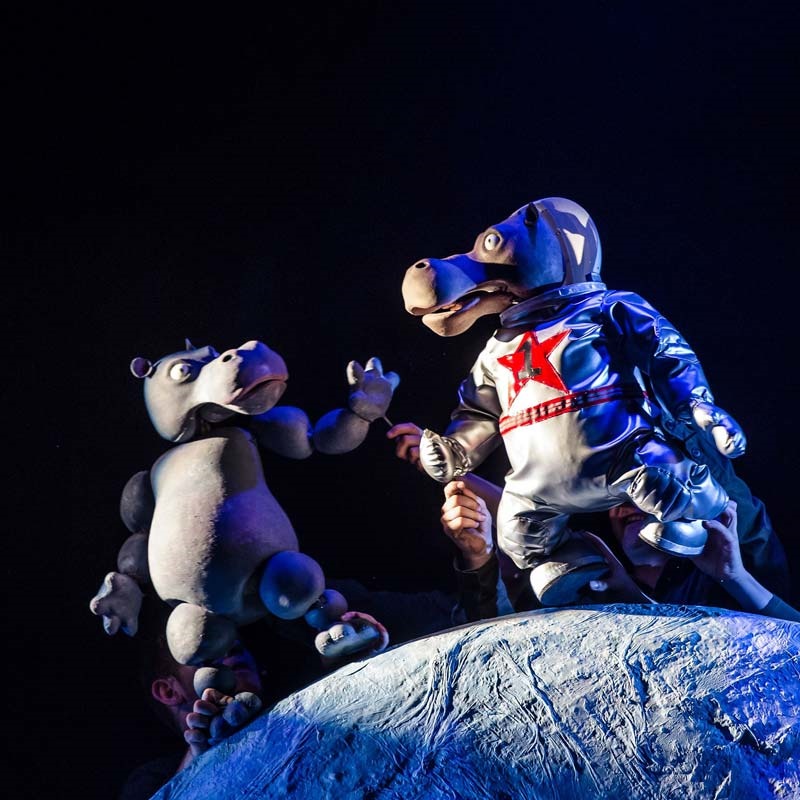 The First Hippo On The Moon Show