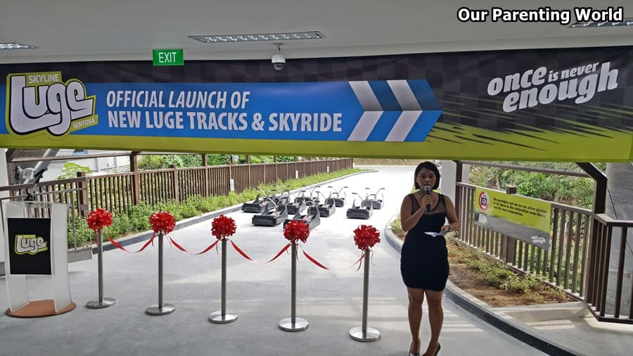 Luge Tracks  Skyline Luge Singapore