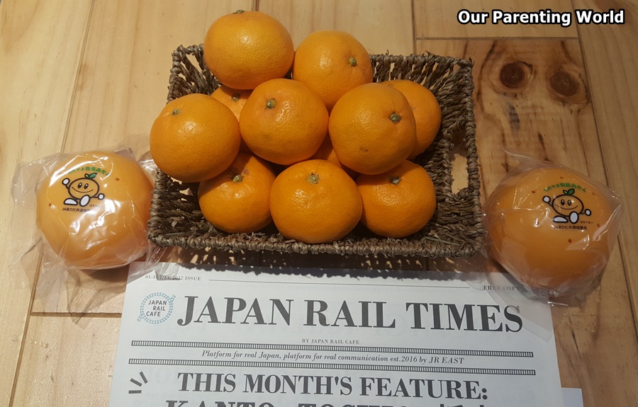 JETRO Arida Mikan Oranges 1