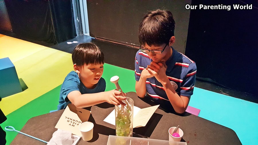 Treasures of the Natural World at ArtScience Museum 9