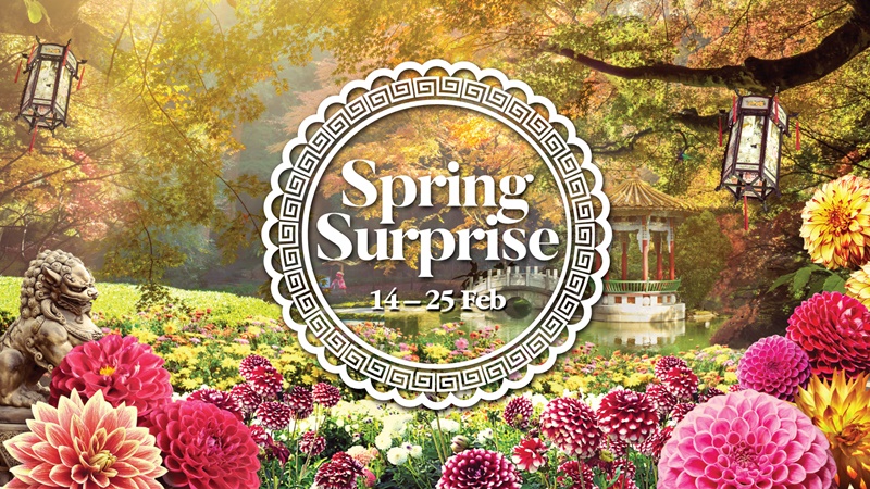 Spring Surprise Gardens by the Bay