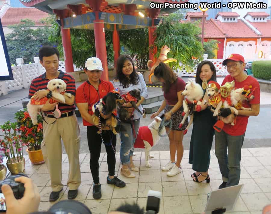 Year of the Dog Chinatown Chinese New Year Celebrations 2018 2