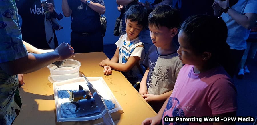 National Geographic Ocean Wonders at S.E.A. Aquarium 3