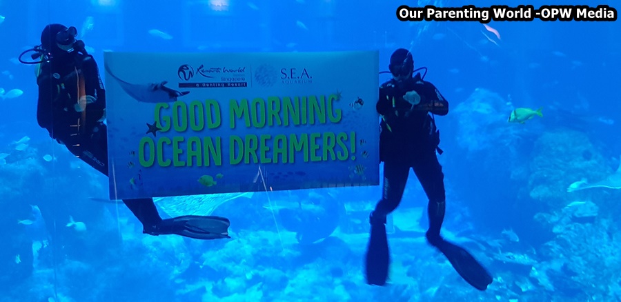 Ocean Dreams S.E.A. Aquarium 13