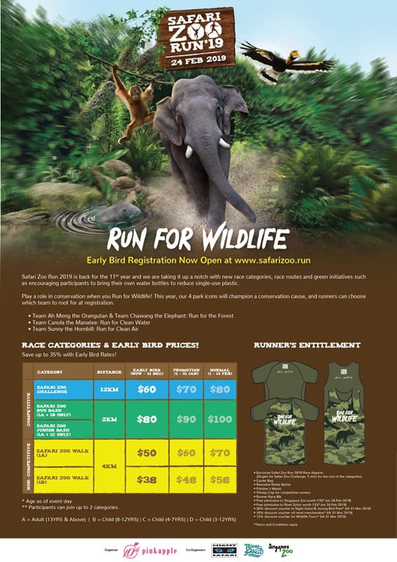 safari run online donation