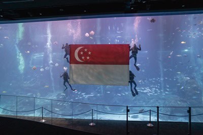 Celebrate National Day with S.E.A. Aquarium’s stunning National Day Underwater Flag Presentation
