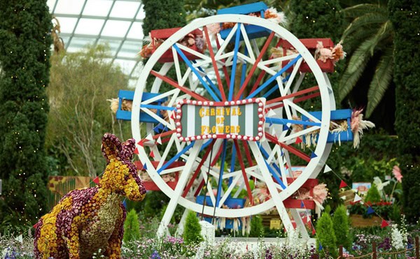 Discover Unusual Plants from Down Under at Gardens by the Bay’s first-ever Australian Carnival of Flowers